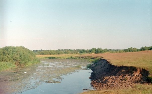 Турія в районі с.Велимче